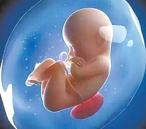 北京三代供卵试管婴儿，新生命的奇迹
